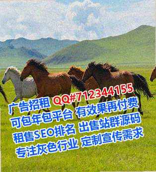 七星代生信息技术公司